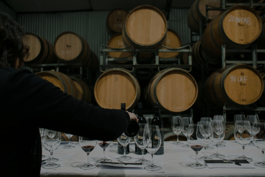 Cata exclusiva en bodegas del Penedés