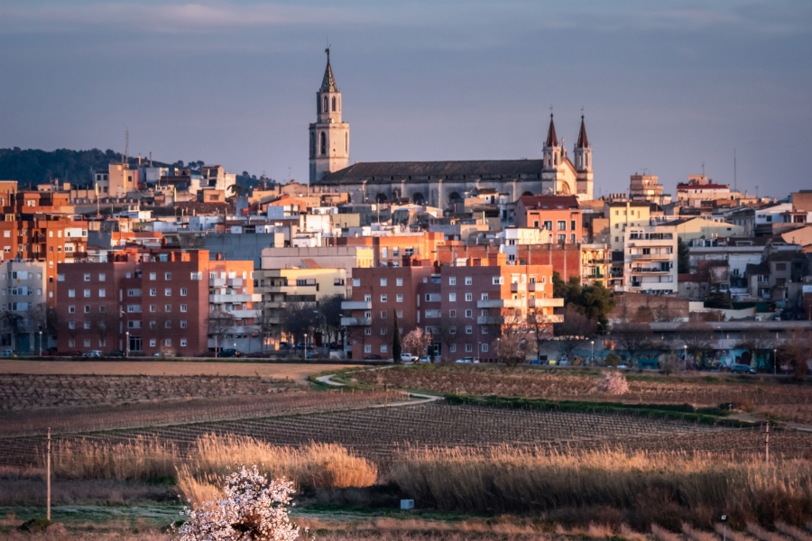 penedes