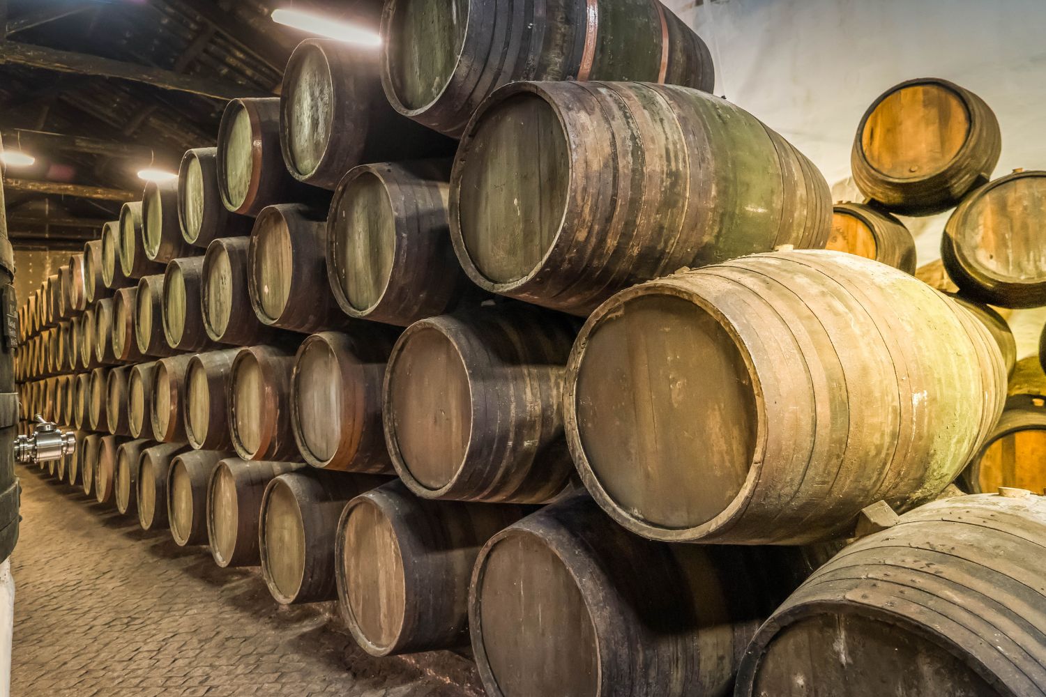 Luxury Legacy Experience at Bodegas Torres desde Barcelona (5)